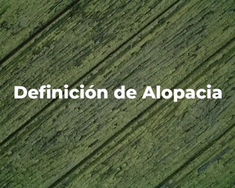 Definición de Alopacia