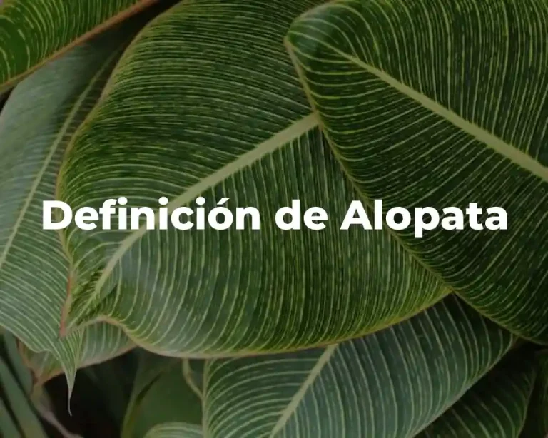Definición de Alopata