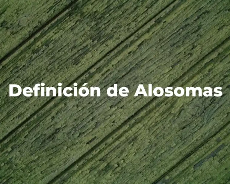 Definición de Alosomas