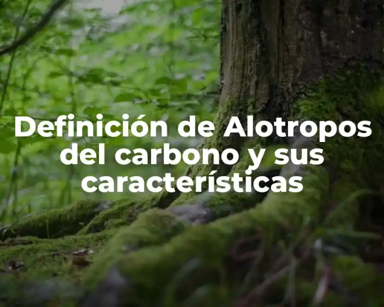 Definición de Alotropos del carbono y sus características