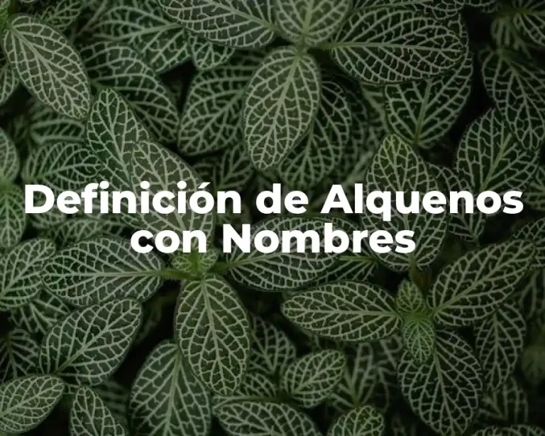 Definición de Alquenos con Nombres