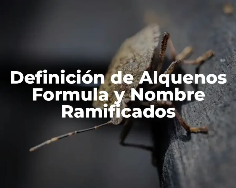 Definición de Alquenos Formula y Nombre Ramificados