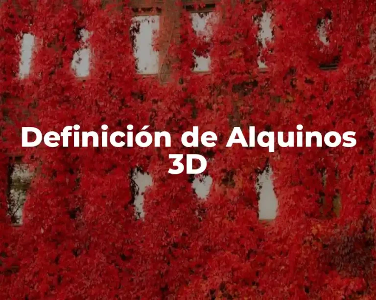 Definición de Alquinos 3D
