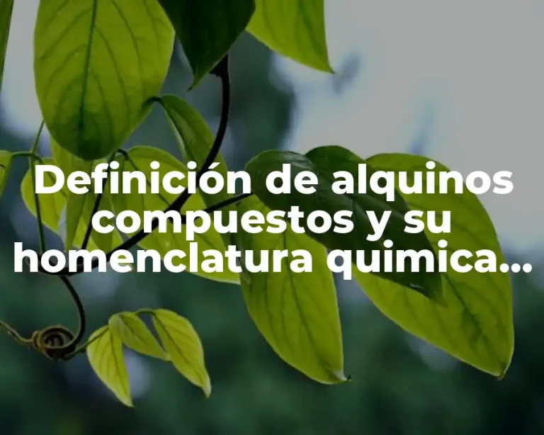 Definición de alquinos compuestos y su homenclatura quimica perzii
