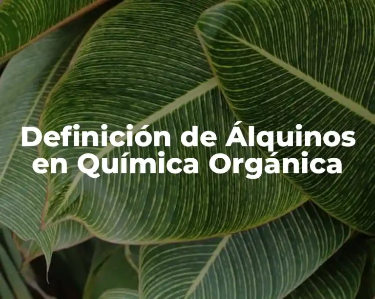 Definición de Álquinos en Química Orgánica