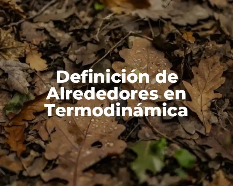 Definición de Alrededores en Termodinámica