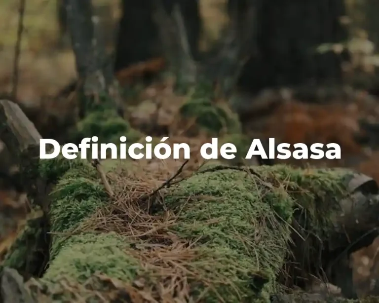 Definición de Alsasa