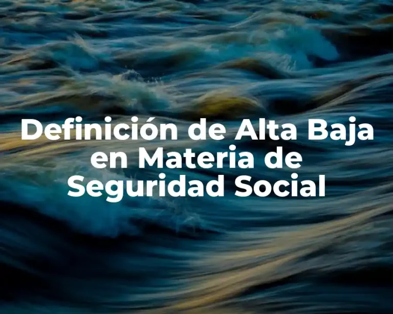 Definición de Alta Baja en Materia de Seguridad Social