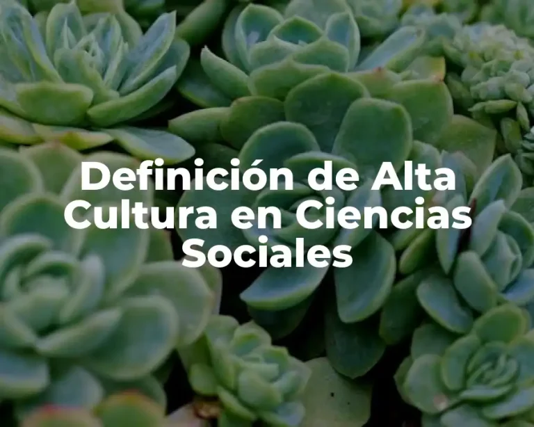 Definición de Alta Cultura en Ciencias Sociales