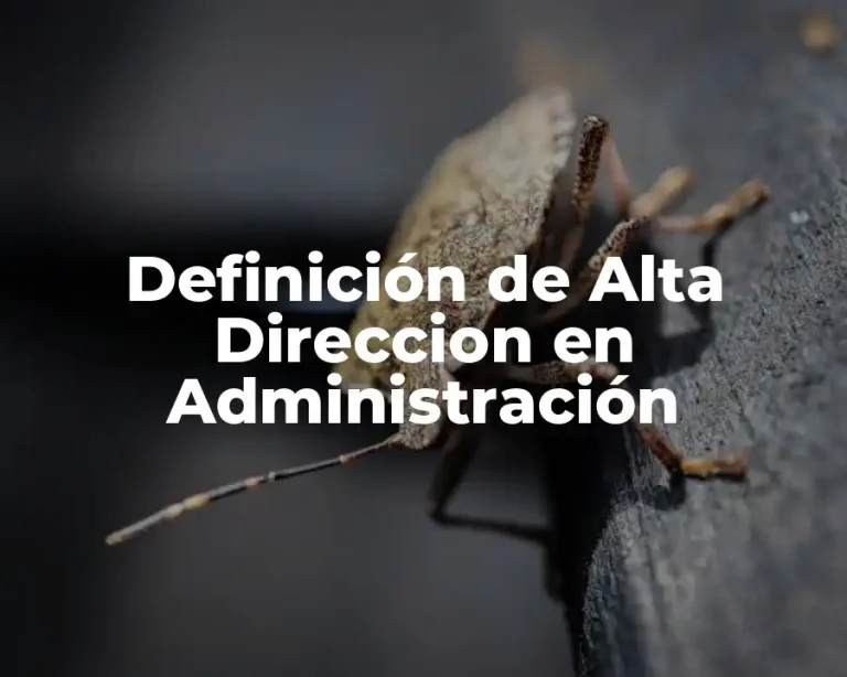 Definición de Alta Direccion en Administración