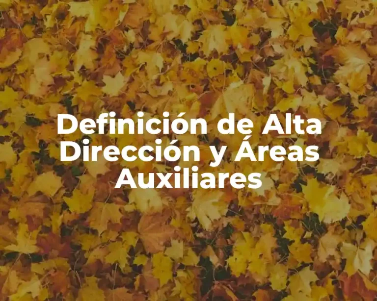 Definición de Alta Dirección y Áreas Auxiliares