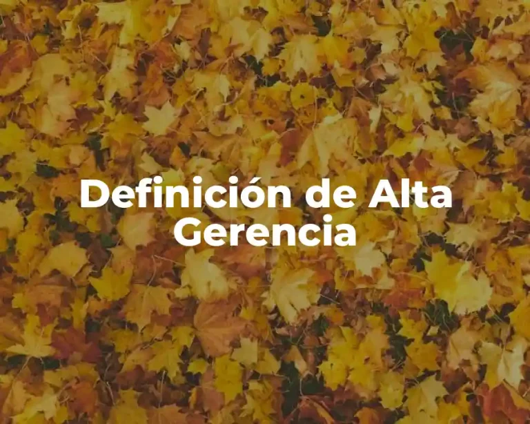 Definición de Alta Gerencia