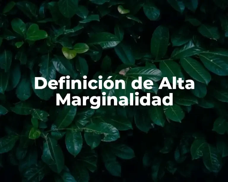Definición de Alta Marginalidad