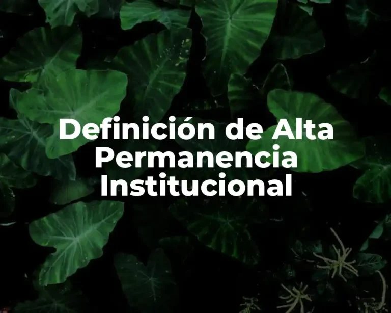 Definición de Alta Permanencia Institucional