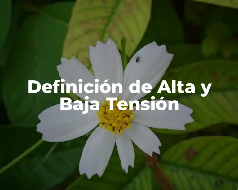 Definición de Alta y Baja Tensión