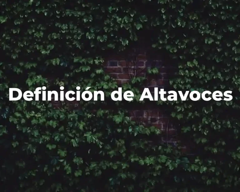Definición de Altavoces