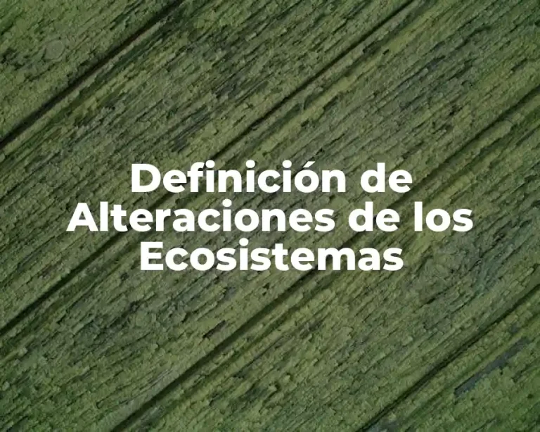 Definición de Alteraciones de los Ecosistemas
