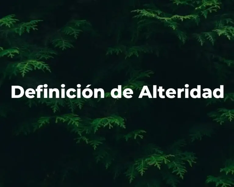 Definición de Alteridad