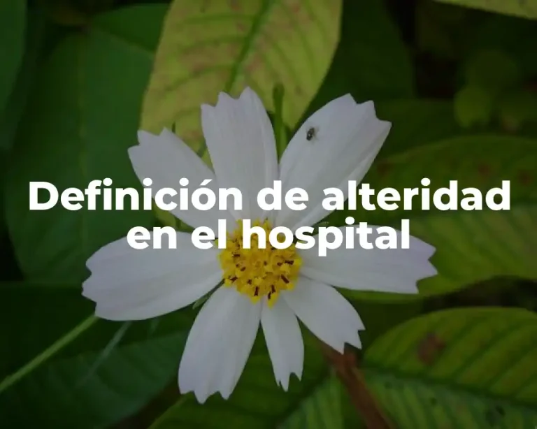Definición de alteridad en el hospital