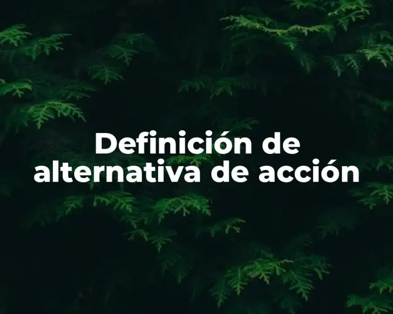 Definición de alternativa de acción