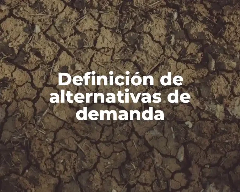 Definición de alternativas de demanda
