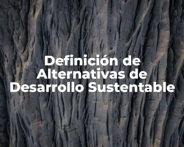 Definición de Alternativas de Desarrollo Sustentable