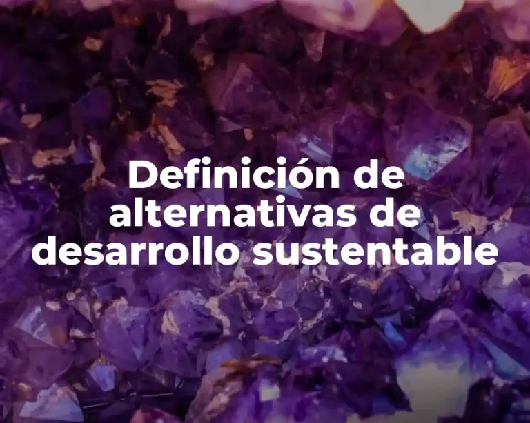 Definición de alternativas de desarrollo sustentable