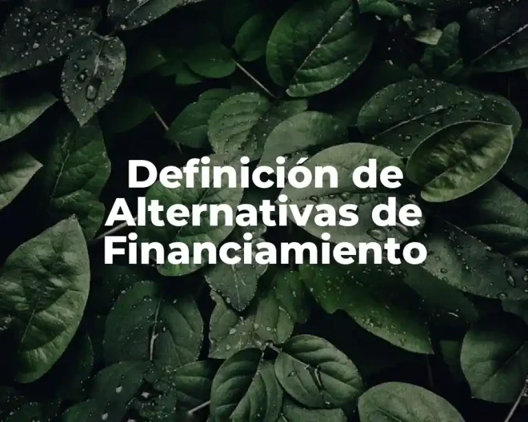 Definición de Alternativas de Financiamiento