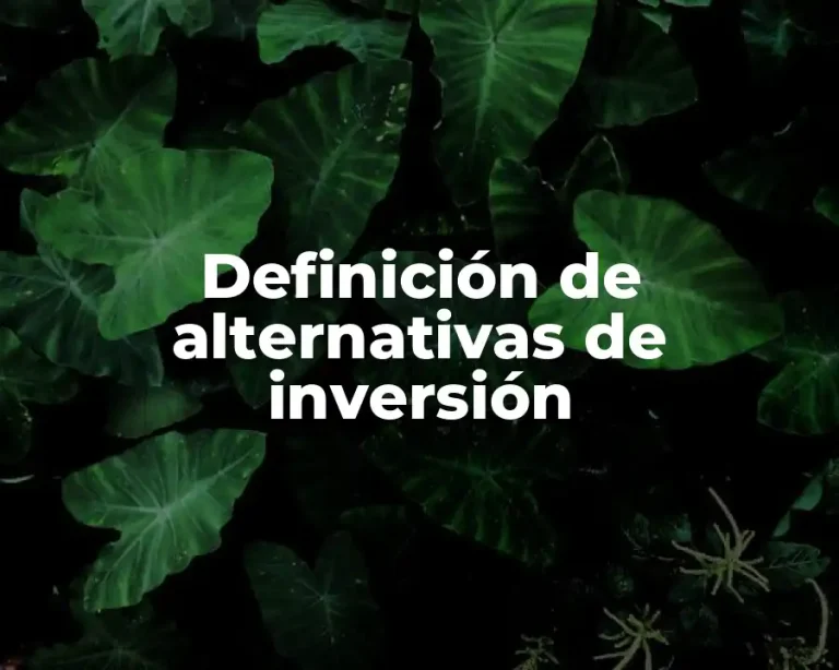 Definición de alternativas de inversión