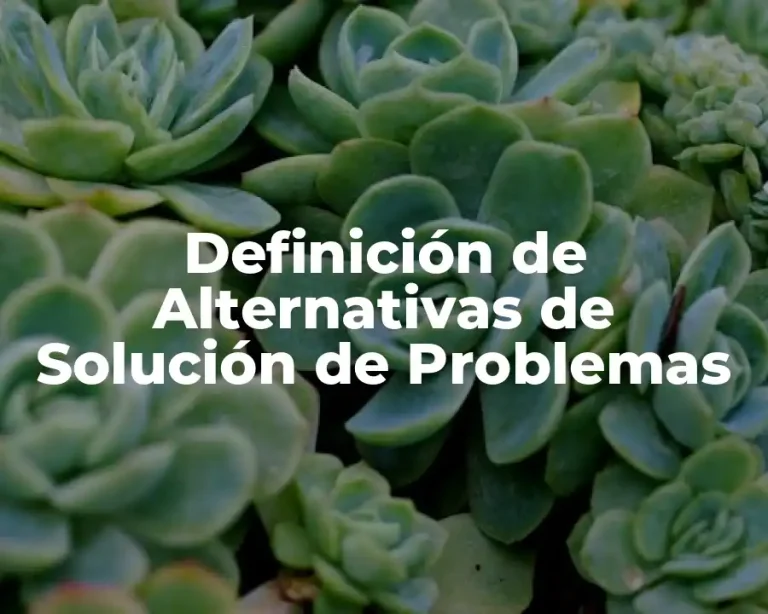 Definición de Alternativas de Solución de Problemas