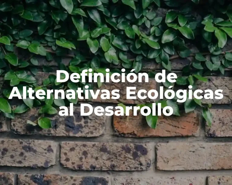 Definición de Alternativas Ecológicas al Desarrollo