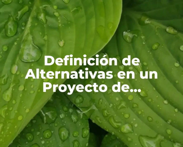 Definición de Alternativas en un Proyecto de Sustentabilidad