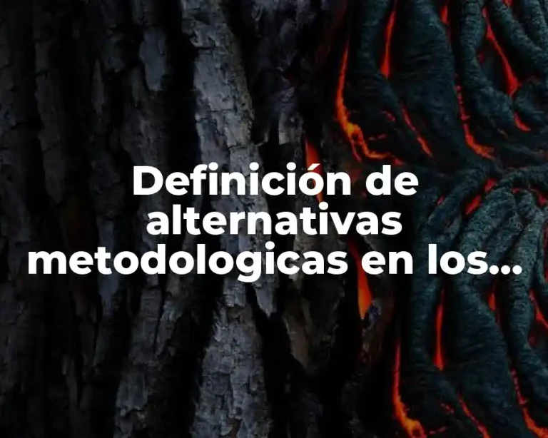 Definición de alternativas metodologicas en los textos literarios