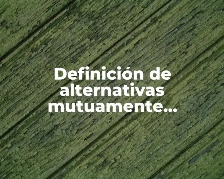 Definición de alternativas mutuamente excluyentes