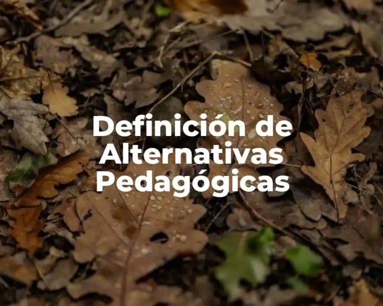 Definición de Alternativas Pedagógicas