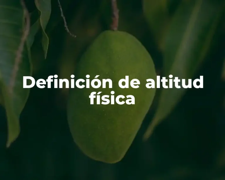 Definición de altitud física