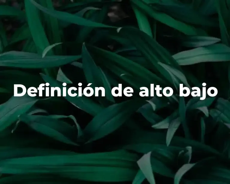 Definición de alto bajo