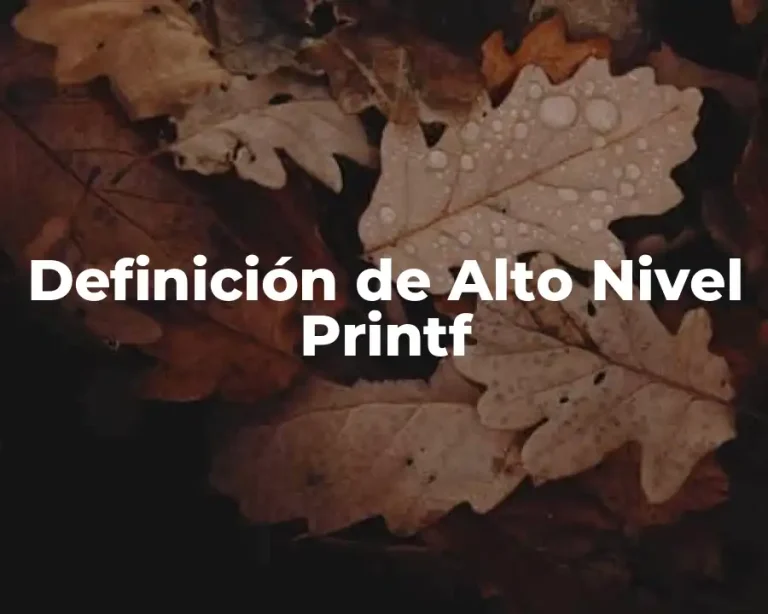 Definición de Alto Nivel Printf