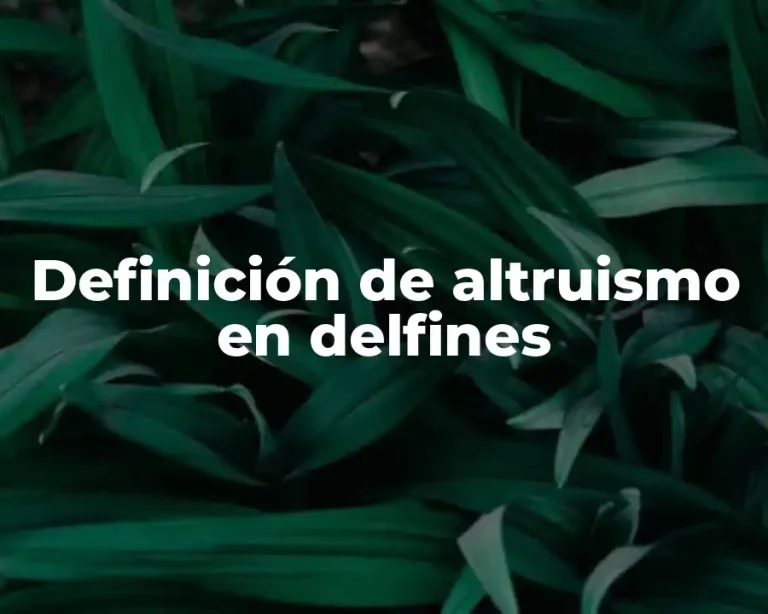 Definición de altruismo en delfines