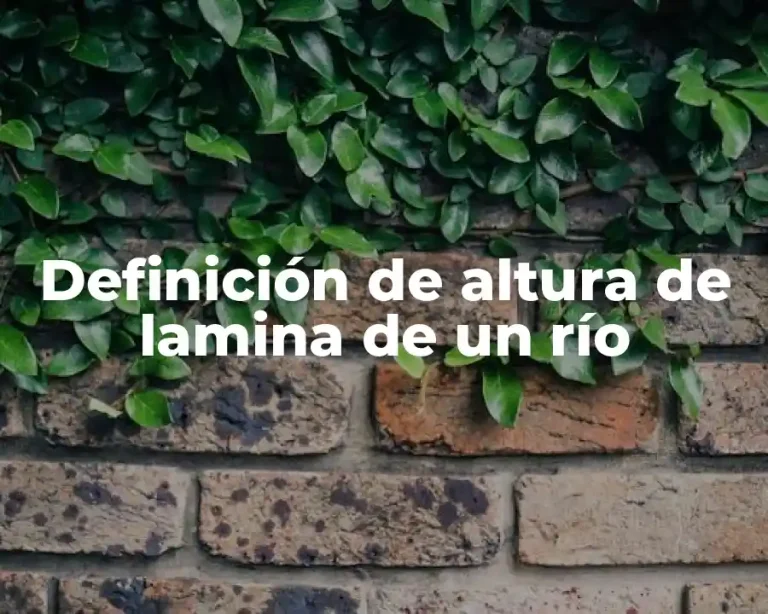 Definición de altura de lamina de un río