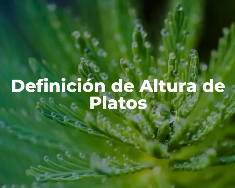 Definición de Altura de Platos