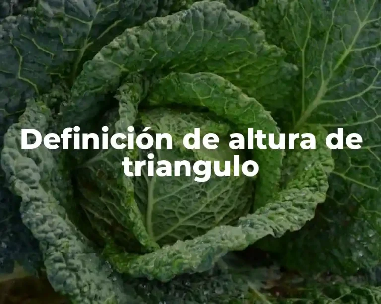 Definición de altura de triangulo