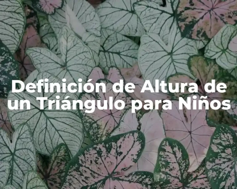 Definición de Altura de un Triángulo para Niños