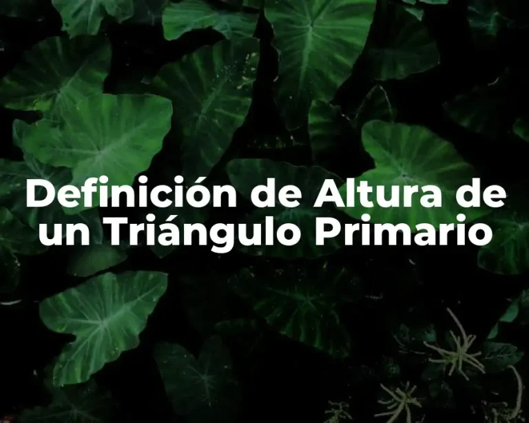 Definición de Altura de un Triángulo Primario
