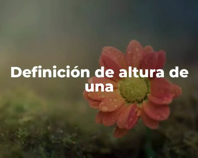 Definición de altura de una