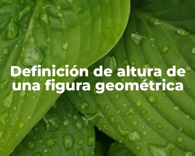 Definición de altura de una figura geométrica