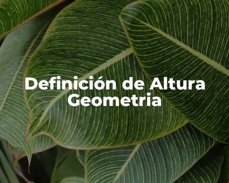 Definición de Altura Geometria