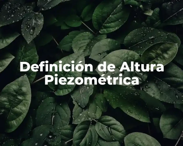 Definición de Altura Piezométrica