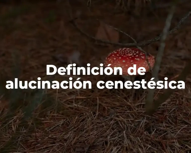 Definición de alucinación cenestésica