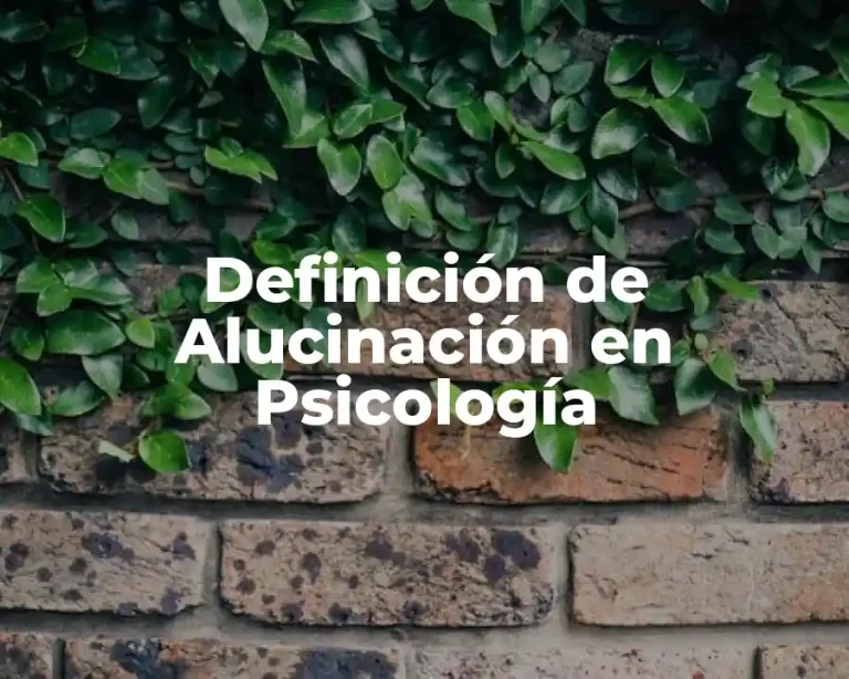Definición de Alucinación en Psicología